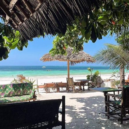 Sipano Beach Lodge Kiwengwa Kiwengwa  Εξωτερικό φωτογραφία