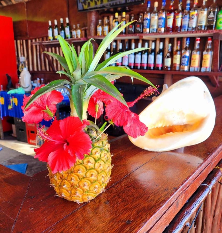 Sipano Beach Lodge Kiwengwa Kiwengwa  Εξωτερικό φωτογραφία