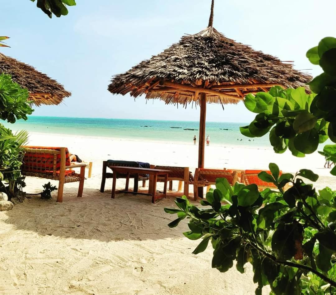 Sipano Beach Lodge Kiwengwa Kiwengwa  Εξωτερικό φωτογραφία