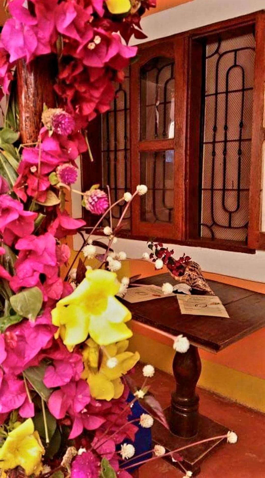Sipano Beach Lodge Kiwengwa Kiwengwa  Εξωτερικό φωτογραφία