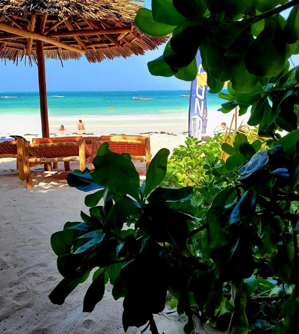 Sipano Beach Lodge Kiwengwa Kiwengwa  Εξωτερικό φωτογραφία