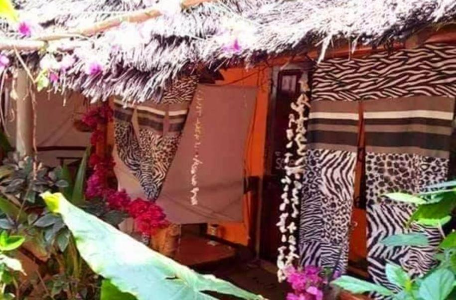 Sipano Beach Lodge Kiwengwa Kiwengwa  Εξωτερικό φωτογραφία