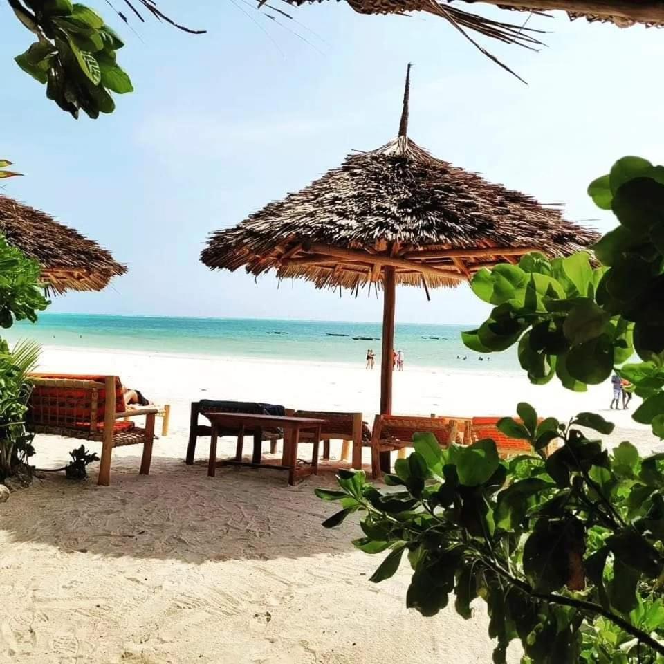 Sipano Beach Lodge Kiwengwa Kiwengwa  Εξωτερικό φωτογραφία