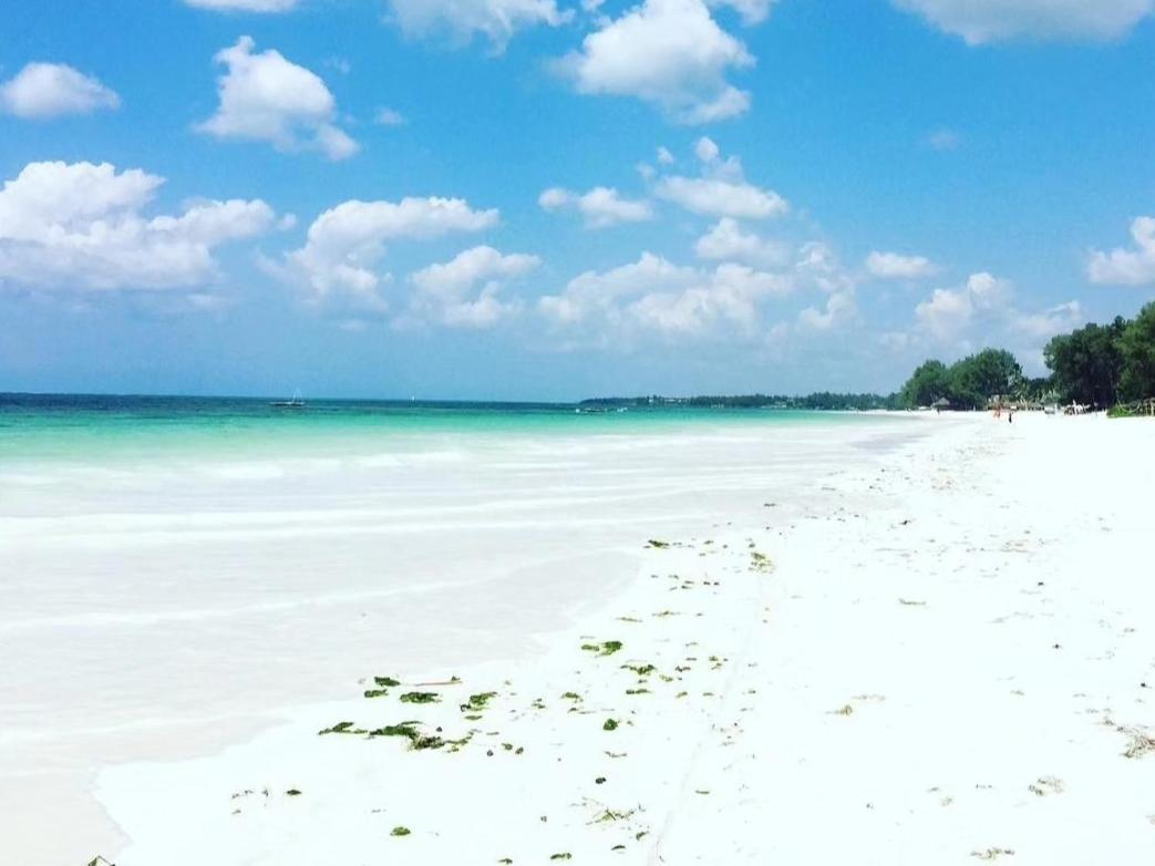 Sipano Beach Lodge Kiwengwa Kiwengwa  Εξωτερικό φωτογραφία